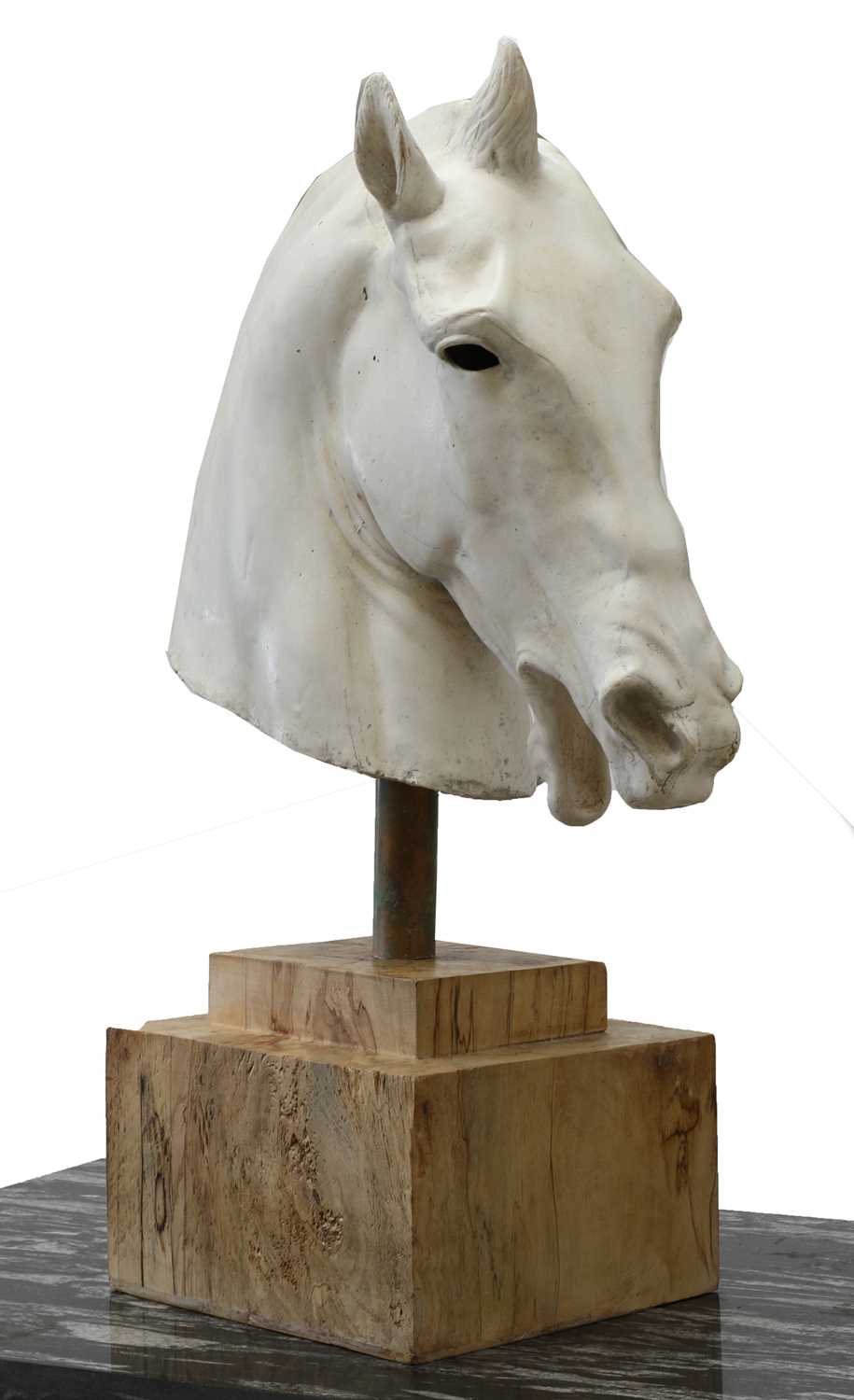 Plaster cast of Roman horse head
